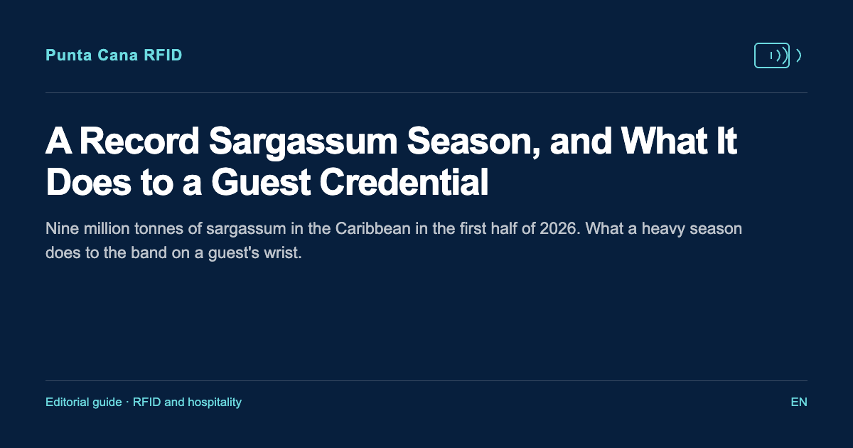 A Record Sargassum Season, and What It Does to a Guest Credential